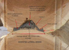 Cross Section of P Gasket in log home lateral